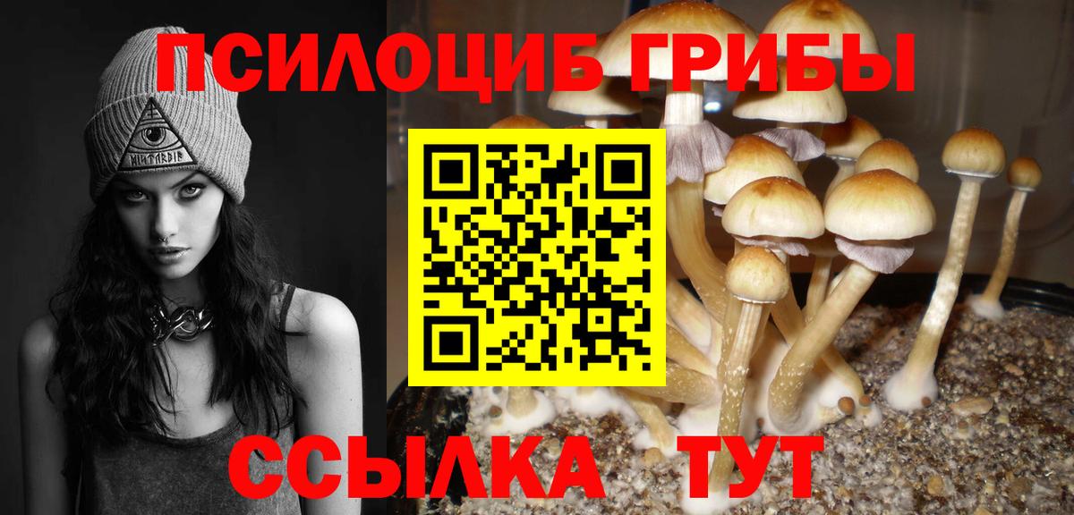 Саранск  хочу   Вход с VPN  Галлюциногенные грибы мухоморы 